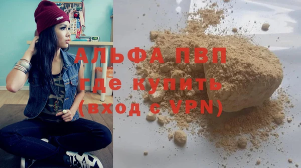 стаф Корсаков