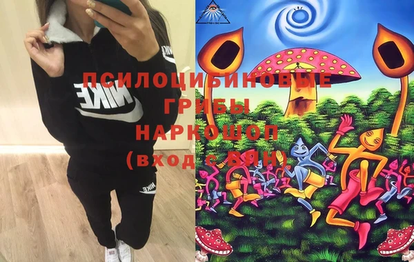 каннабис Коряжма