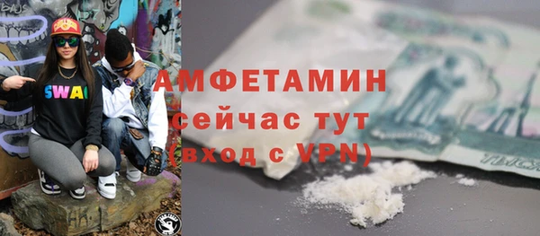 стаф Корсаков