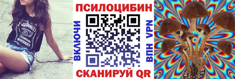 Галлюциногенные грибы Magic Shrooms  Тольятти 